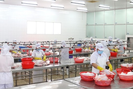 Nhà nước và doanh nghiệp cần làm gì để thực hiện "mục tiêu kép"?