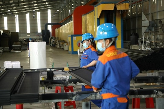 Nhiều doanh nghiệp ngưng hoạt động vì không đáp ứng được 3T