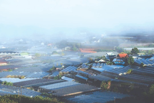 Đà Lạt không còn là “thành phố trong rừng”