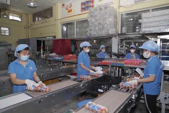 Khả năng cung ứng thực phẩm bình ổn cho doanh nghiệp “3 tại chỗ” như thế nào?