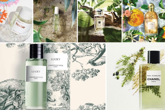 Ướp hương mùa Hè