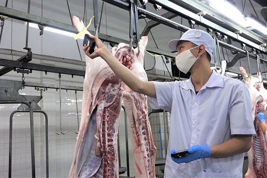 Nhiều nhà máy, cơ sở giết mổ đóng cửa: Nguồn thực phẩm cho TP.HCM khó chồng thêm khó Nhiều nhà máy, cơ sở giết mổ đóng cửa: Nguồn thực phẩm cho TP.HCM khó chồng thêm khó