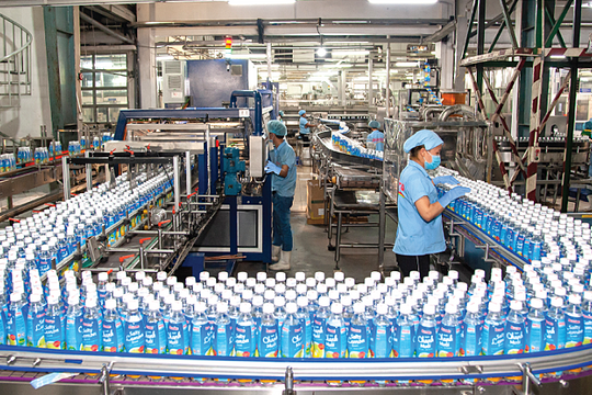 TS. Trần Hoàng Ngân: "Những doanh nghiệp đang hoạt động, phải cứu đến cùng"