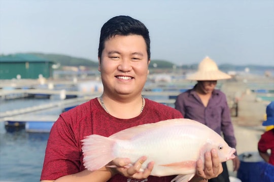 Cargill ra mắt trang web Feeding Intelligence Tiếng Việt hỗ trợ nông dân Việt Nam