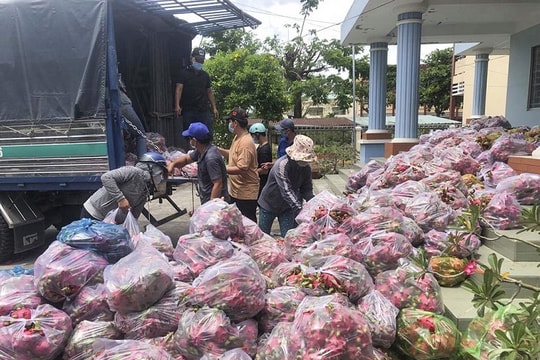Hội Xuất bản “giải cứu” 11 tấn thanh long tặng tuyến đầu chống dịch