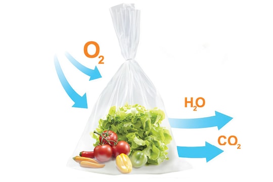 Bao bọc rau củ quả xuất khẩu