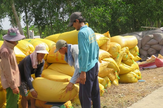 Cần ưu tiên cho thương lái để giữ chuỗi cung ứng lương thực thực phẩm