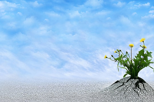 5 cuốn sách hay giúp bạn "kiên tâm" vượt qua giai đoạn khó khăn