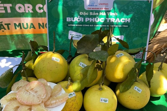 Sau vải thiều, bưởi và na lại lên sàn TMĐT