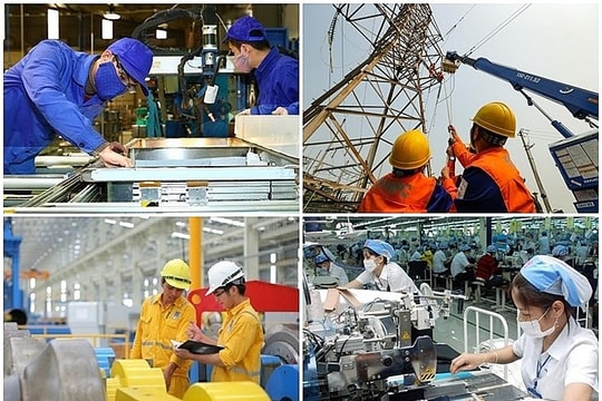 Sắp xếp lại lao động trong dịch