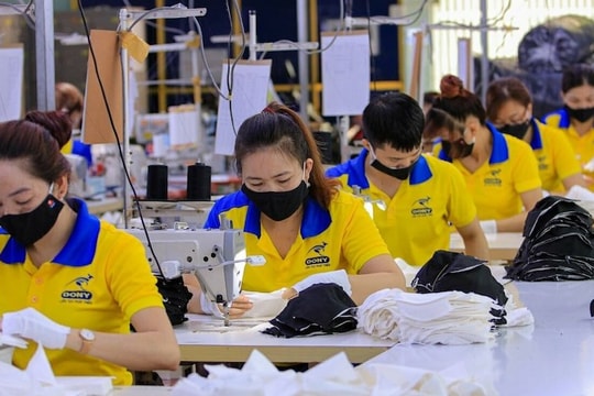 Mở cửa lại kinh tế như kéo pháo vào trận, không thể lùi