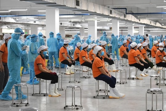 Tin kinh tế ngày 16/9: Chính phủ đề xuất gói miễn, giảm thuế hơn 21.300 tỷ đồng