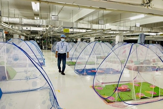 Doanh nghiệp muốn thay thế mô hình “3 tại chỗ”