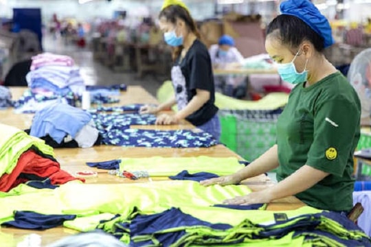 Sáu năm xây dựng chuỗi cung ứng ở Việt Nam bị xóa sạch trong 6 ngày