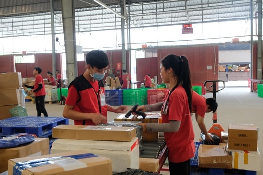 Ninja Van được đầu tư thêm 578 triệu USD