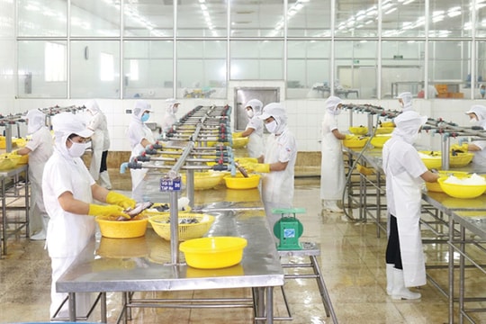 “Người lao động đều muốn sớm trở về trạng thái bình thường mới”