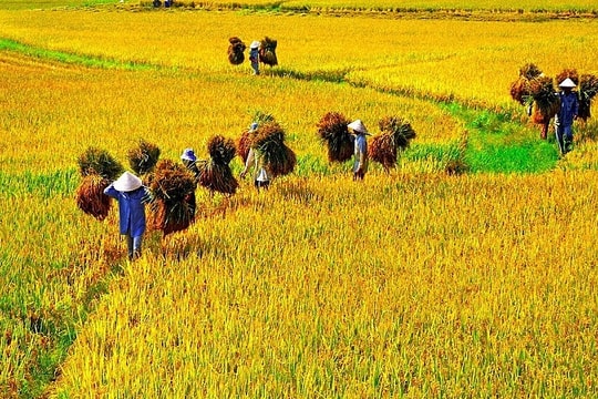 Cùng “Ngày Việt Nam tại Thuỵ Sỹ năm 2021” khám phá những điều thú vị khi du lịch Việt Nam