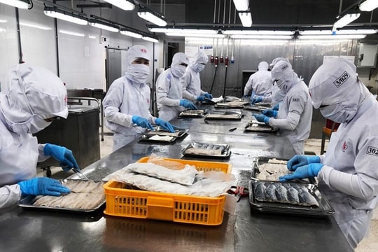 TP.HCM lên phương án tổ chức người lao động đi lại với 4 tỉnh lân cận