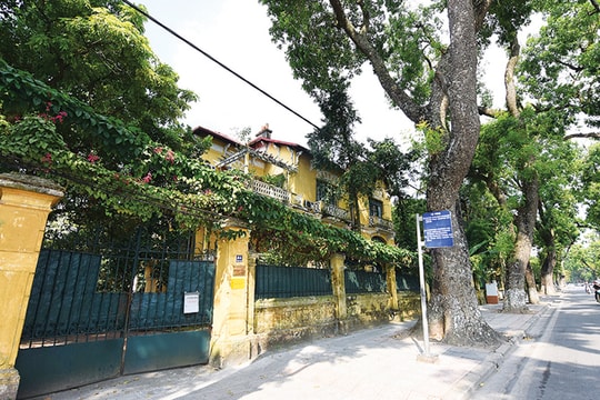 Một lần gặp phu nhân nhà tư sản Trịnh Văn Bô