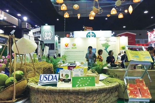 Hàng Việt Nam ra thế giới: Cần thêm chuẩn hội nhập