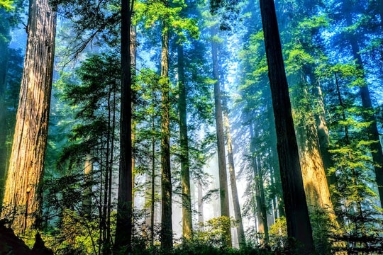 Việt Nam là một trong những quốc gia đa dạng sinh học cao nhất thế giới