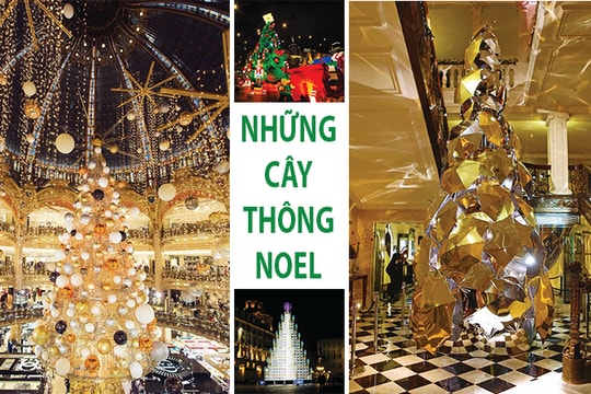 Những cây thông Noel đắt đỏ, kỳ quặc nhất hành tinh