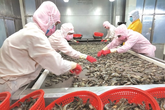 RCEP và cơ hội cho các ngành hàng xuất khẩu