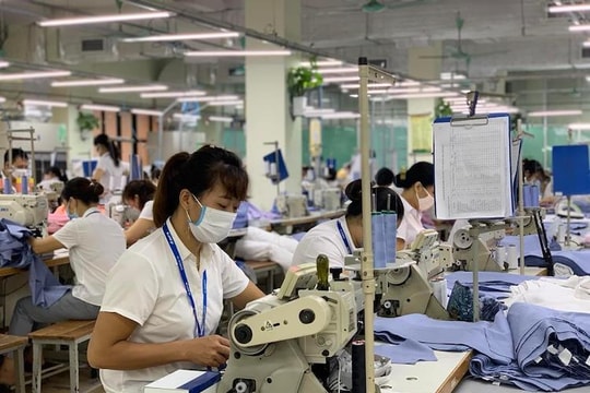 TP.HCM có số doanh nghiệp đang hoạt động đạt kết quả sản xuất, kinh doanh cao nhất cả nước