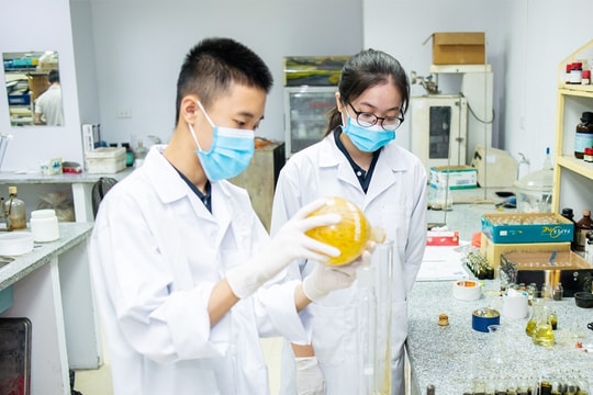 Việt Nam duy trì thứ hạng về chỉ số đổi mới sáng tạo toàn cầu