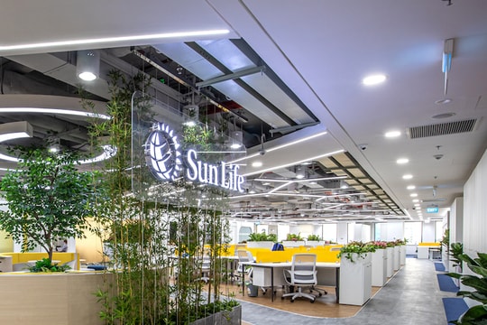 Sun Life Việt Nam tăng vốn điều lệ lên 16.480 tỷ đồng