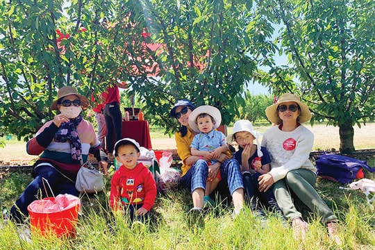 Trái đỏ mừng năm mới