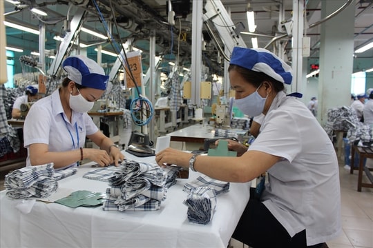 TP.HCM: Khoảng 1.000 doanh nghiệp nợ bảo hiểm xã hội