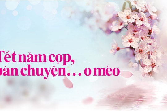 Tết năm Cọp, bàn chuyện… o Mèo
