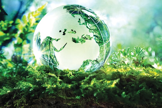 Hài hòa cho cuộc sống mọi người và cho mọi loài