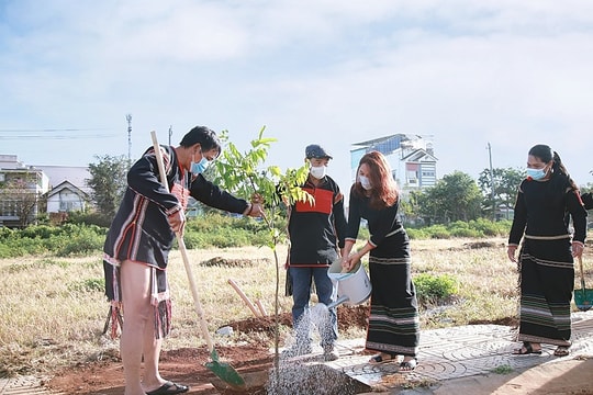 Tết trồng cây tại Thành phố Cà Phê