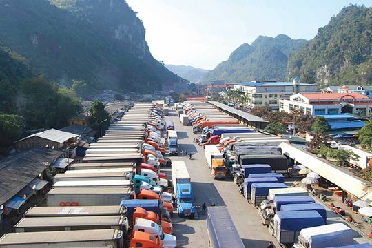 Ùn ứ nông sản xuất khẩu tại Lạng Sơn: Xem lại cách tổ chức sản xuất và tiêu thụ