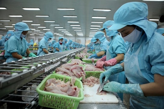 Phát huy vai trò và nâng cao năng lực đội ngũ doanh nhân TP.HCM Phát huy vai trò và nâng cao năng lực đội ngũ doanh nhân TP.HCM