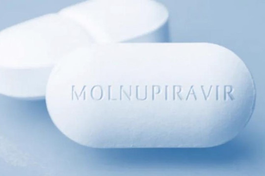WHO khuyến nghị có điều kiện về việc sử dụng thuốc viên Molnupiravir điều trị Covid-19
