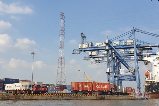 TP.HCM: Thành lập tổ liên ngành phát triển hệ thống hạ tầng cảng biển