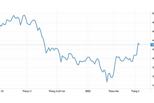 Chọn đúng nhóm ngành vẫn sinh lãi tốt