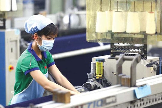 Hơn 50% doanh nghiệp FDI đầu tư tại Việt Nam báo lỗ