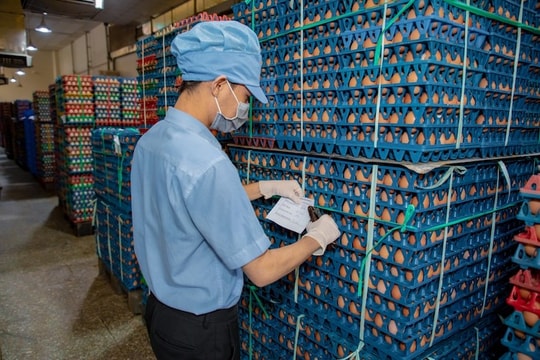 Giằng co giá cũ, giá mới