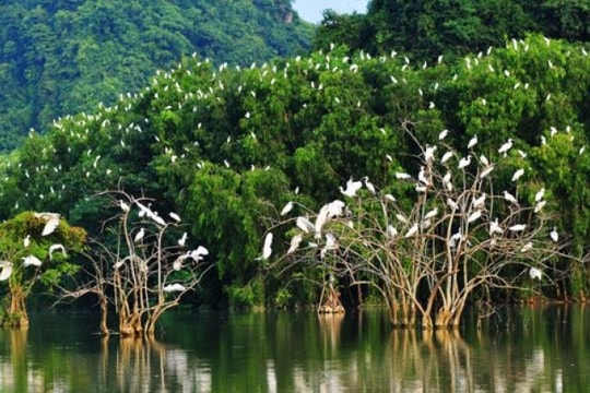 Hội nghị hợp tác phát triển du lịch TP.HCM và ĐBSCL