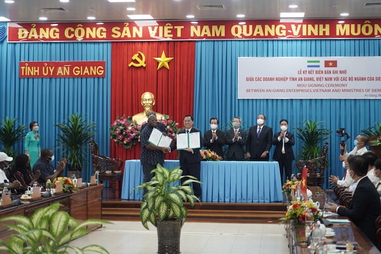 Angimex sẽ xuất khẩu 3 triệu tấn gạo sang Cộng hòa Sierra Leone