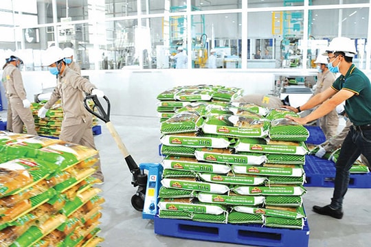 Nâng cao năng lực doanh nghiệp để phát triển kinh tế