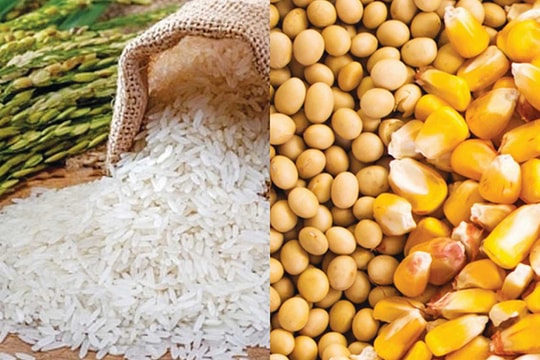 Nông phẩm Việt đua nhau xuất khẩu