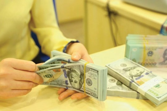 Nên vay USD hay VND?