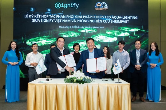 Giải pháp chiếu sáng giúp tăng năng suất cho tôm nuôi