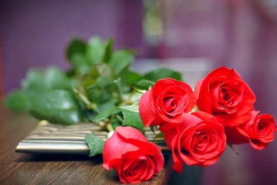 Bạn muốn làm cỏ dại hay hoa hồng?