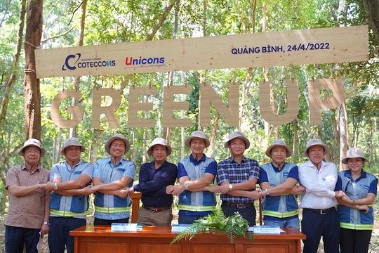 Coteccons khởi động chương trình trồng cây "Green Up"
